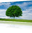 Environmental Conservation and Social Activities