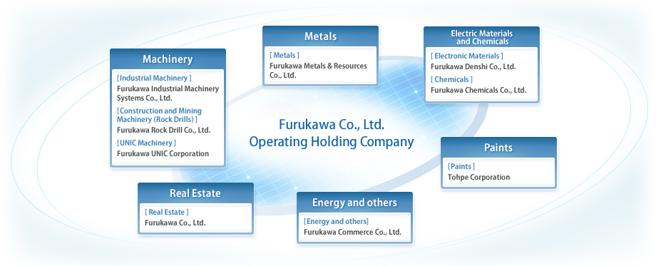 Furukawa Co., Ltd. Operating Holding Company