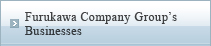 Furukawa Company Group’s Businesses 
