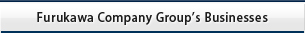 Furukawa Company Group’s Businesses 