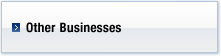 Other Businesses