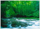 Water Treatment Products