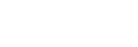 CASE.02
