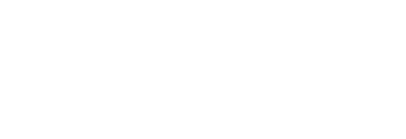 CASE.03